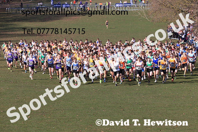 Boys under-15s 2025 UK CAU Inter Counties Cross Country Champs., Wollaton Park, Nottingham. Photo: David T. Hewitson/Sports for All Pics
